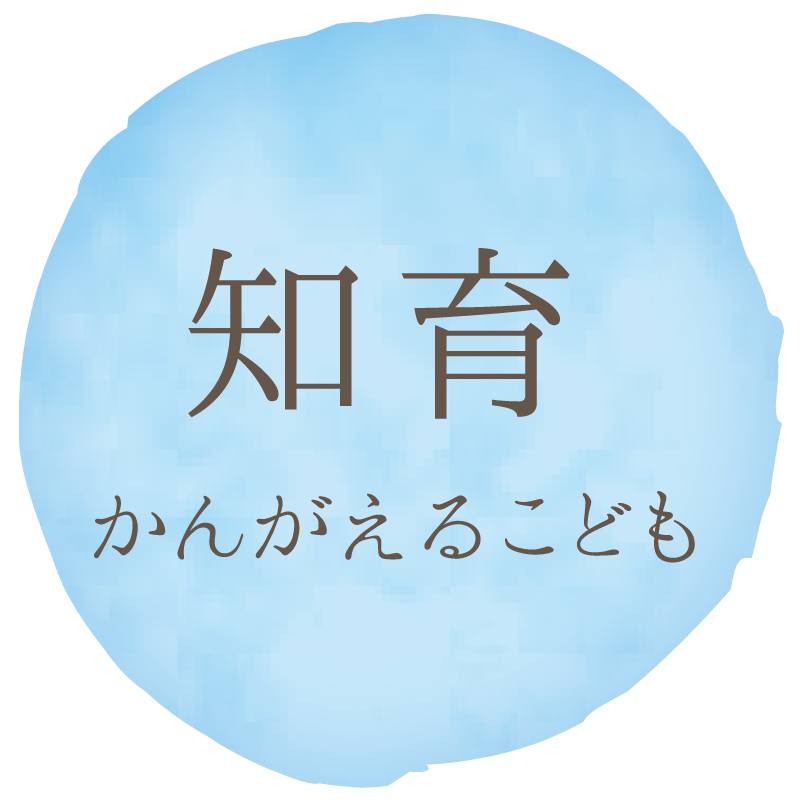 知育 かんがえるこころ